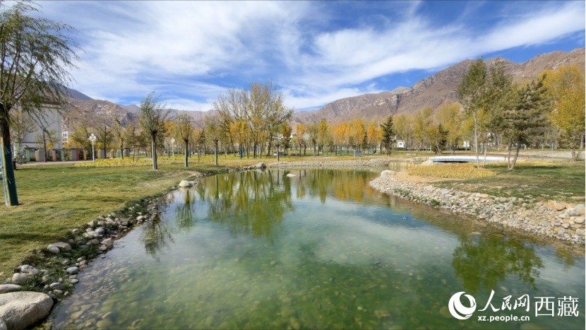 圖為青年林卡公園。人民網(wǎng)記者 次仁羅布攝