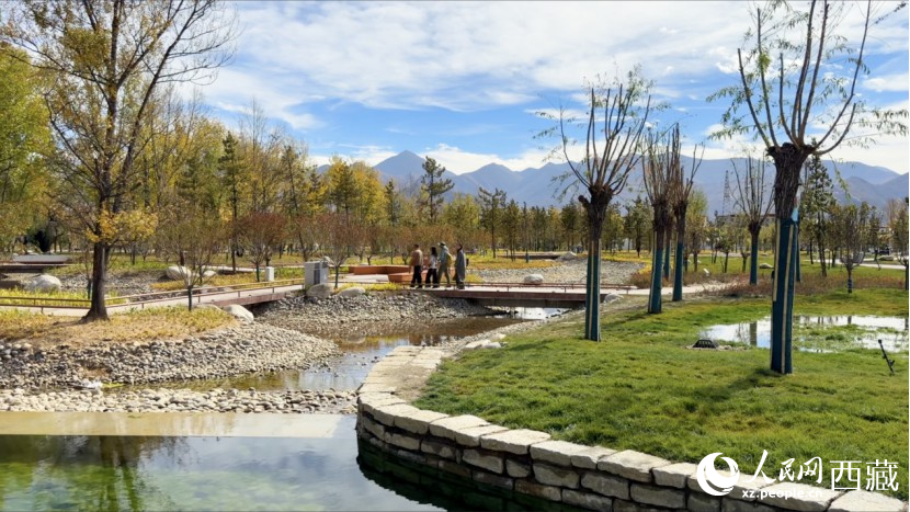 圖為青年林卡公園。人民網(wǎng)記者 次仁羅布攝