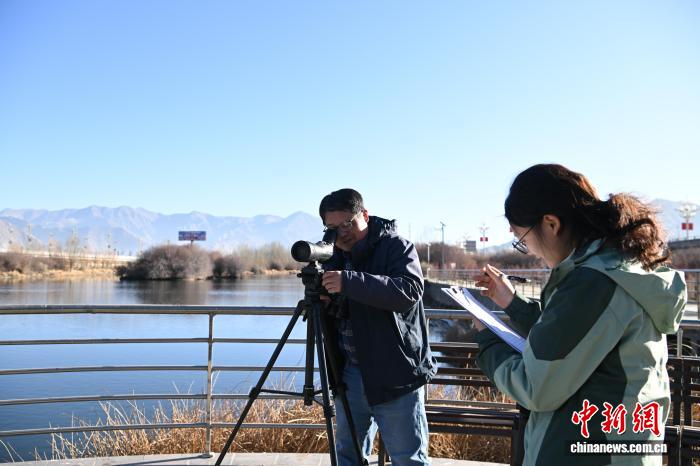 西藏啟動越冬水鳥調(diào)查