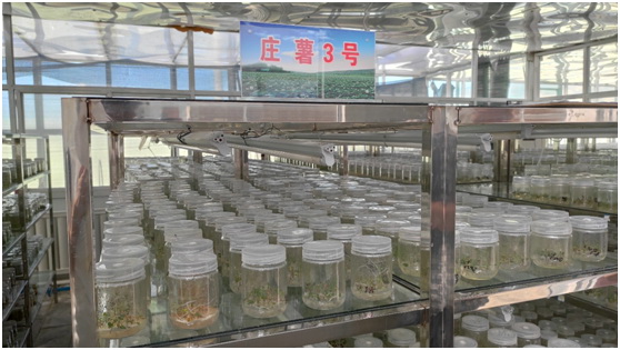 “莊浪模式”與“三變”改革:黃土地上走出的莊浪路子