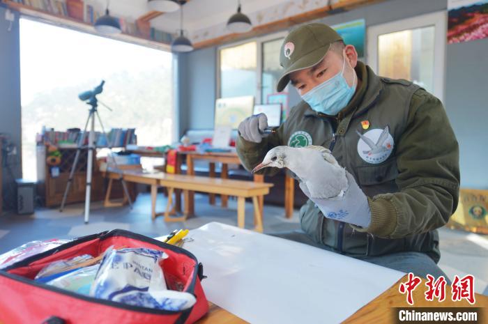 山東青島:志愿者用行動(dòng)呼吁“禁食野味戰(zhàn)勝疫情”