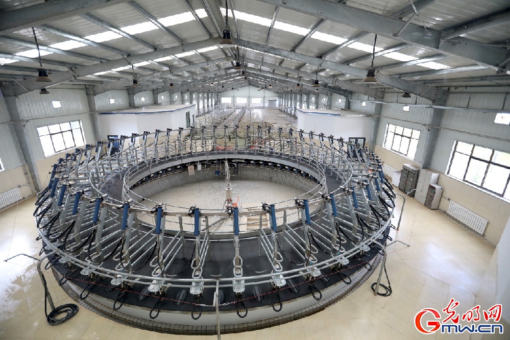 【幸?；ㄩ_新邊疆】大力發(fā)展西藏隆子縣特色產(chǎn)業(yè) 堅決打贏脫貧攻堅戰(zhàn)