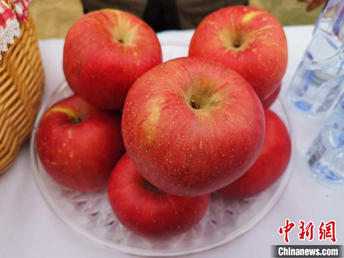 延安蘋果。<a target='_blank'  ><p  align=