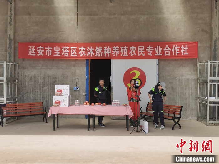 來源：柳林鎮(zhèn)果技園供圖。