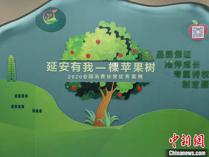 “延安有我一棵蘋果樹”。<a target='_blank'  ><p  align=