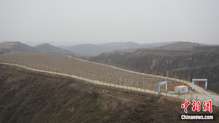 陜西省延安市安塞區(qū)高橋鎮(zhèn)南溝村生態(tài)示范園。 <a target='_blank'  ><p  align=