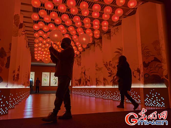 【新春走基層】視頻丨虎年看虎展！來國博感受虎文化