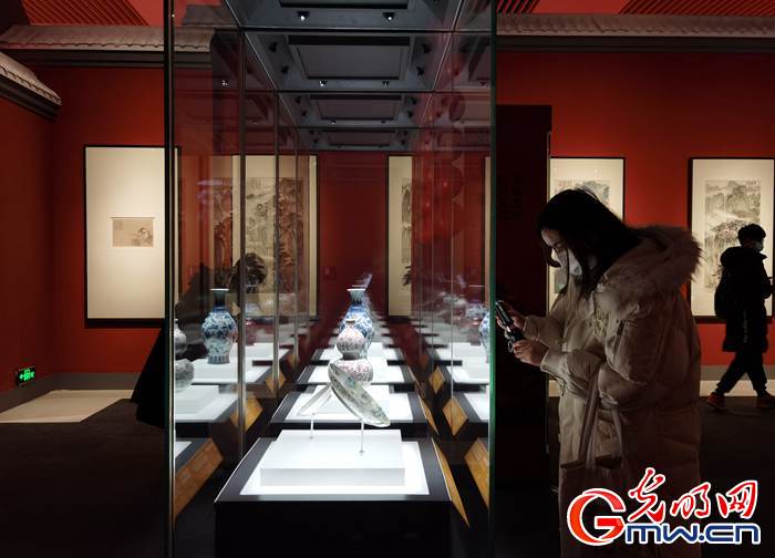 【新春走基層】視頻丨虎年看虎展！來國博感受虎文化