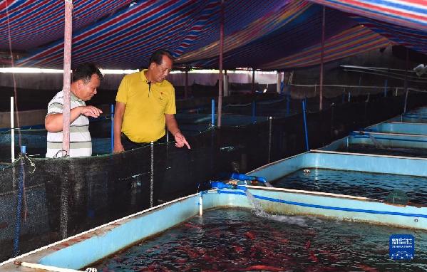 有聲手賬丨【我是一線黨代表 】王書茂：保護(hù)好“祖宗?！笔沁@輩子最大的心愿