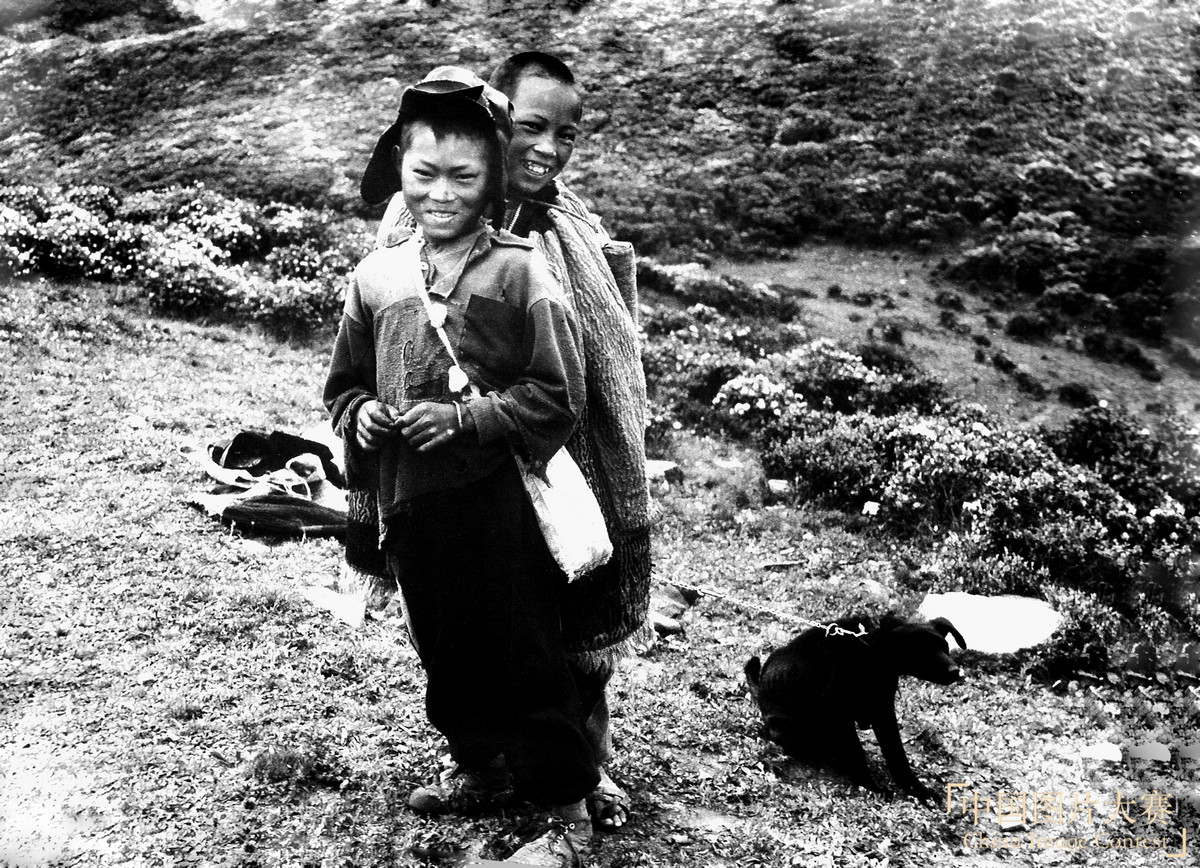 從牧童到書(shū)童的喜悅