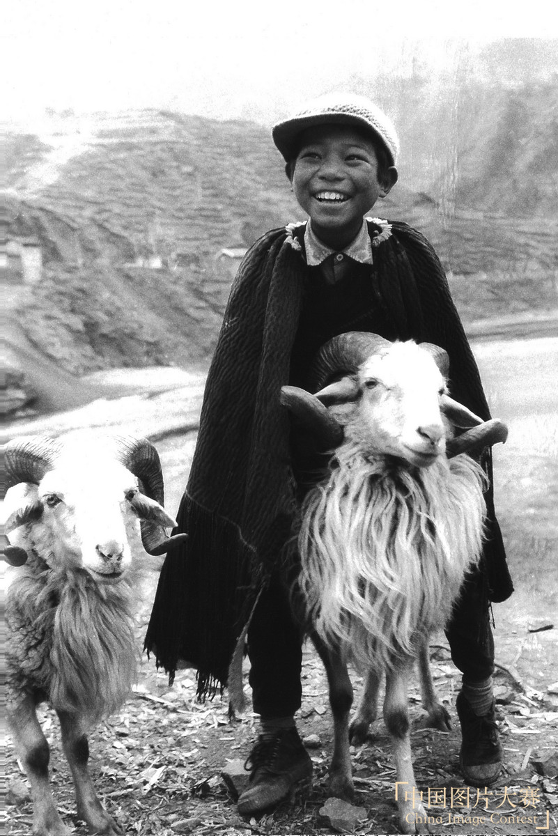 從牧童到書(shū)童的喜悅