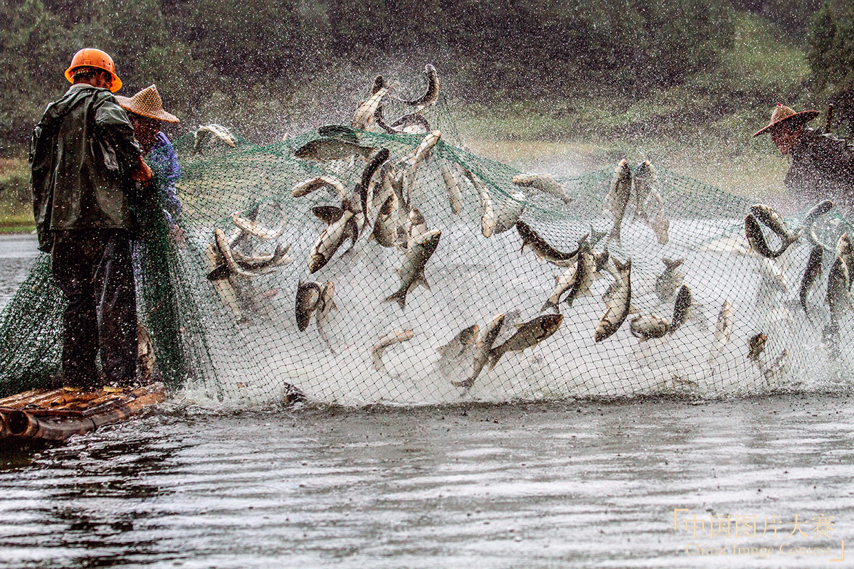 魚躍人歡樂(lè)